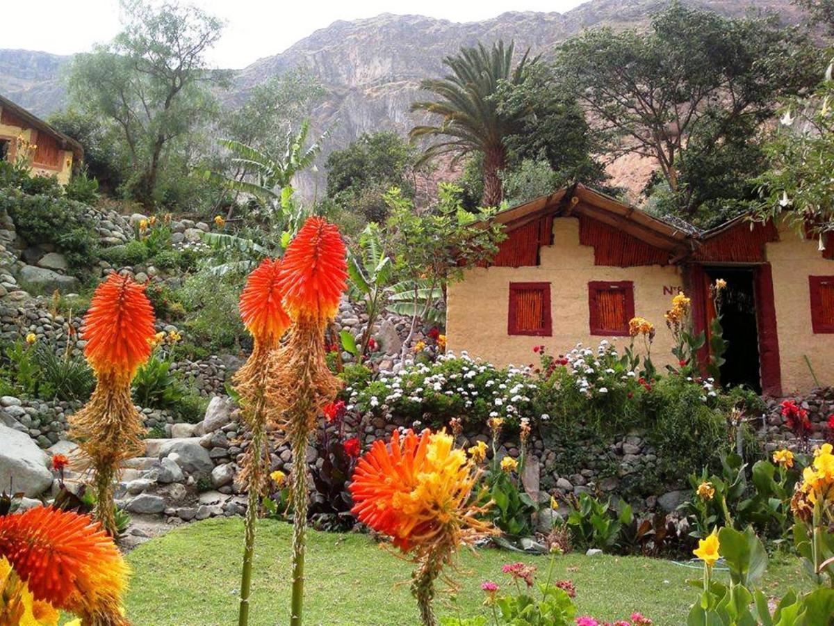 Paraiso Las Palmeras Lodge Кабанаконде Екстериор снимка