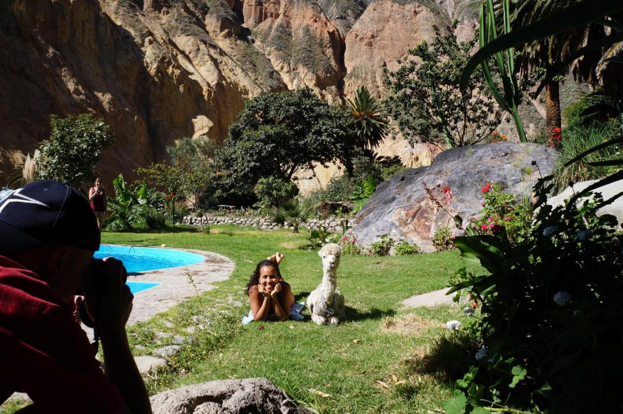 Paraiso Las Palmeras Lodge Кабанаконде Екстериор снимка
