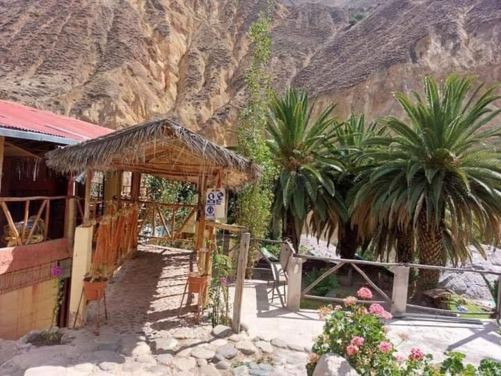 Paraiso Las Palmeras Lodge Кабанаконде Екстериор снимка