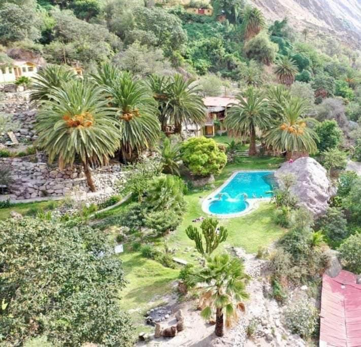 Paraiso Las Palmeras Lodge Кабанаконде Екстериор снимка